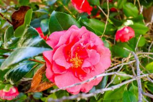 Single Family Residence, 5260 Edgeware dr, Calabasas, CA 91301 - 59