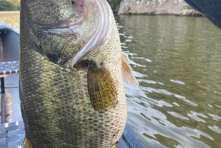 , 1945 Overhill rd, Agoura Hills, CA 91301 - 24