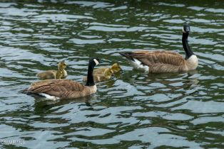 , 1945 Overhill rd, Agoura Hills, CA 91301 - 35