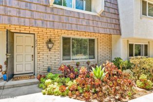 Condominium, 231 Green Heath PL, CA  , CA 91361