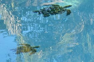 Single Family Residence, 20819 Exhibit ct, Woodland Hills, CA 91367 - 12