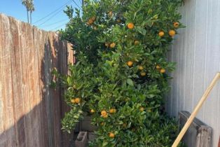 Single Family Residence, 1477 Sequoia ave, Simi Valley, CA 93063 - 16