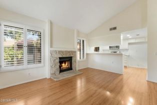 Condominium, 769 Birchpark cir, Thousand Oaks, CA 91360 - 11