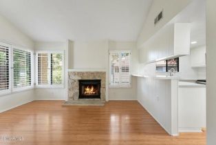 Condominium, 769 Birchpark cir, Thousand Oaks, CA 91360 - 12