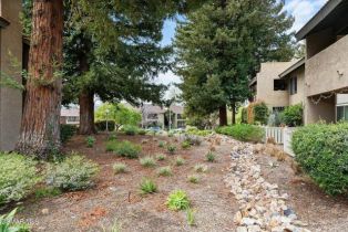 Condominium, 769 Birchpark cir, Thousand Oaks, CA 91360 - 35