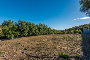 Single Family Residence, 2065 La Loma ave, Somis, CA 93066 - 41