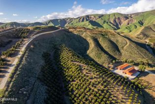 Single Family Residence, 2065 La Loma ave, Somis, CA 93066 - 5