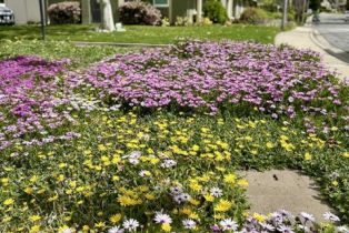 Condominium, 460 Serento cir, Thousand Oaks, CA 91360 - 8