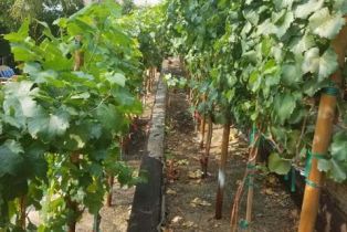 Single Family Residence, 5019 Corral st, Simi Valley, CA 93063 - 47