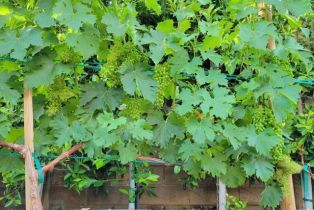 Single Family Residence, 5019 Corral st, Simi Valley, CA 93063 - 48