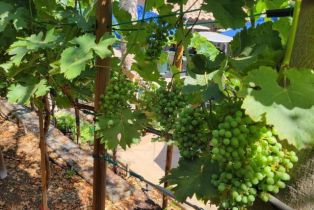 Single Family Residence, 5019 Corral st, Simi Valley, CA 93063 - 49