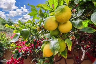 Single Family Residence, 963 Corte Augusta, Camarillo, CA 93010 - 39