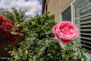 Single Family Residence, 963 Corte Augusta, Camarillo, CA 93010 - 40