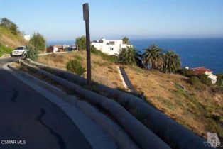 , 21471 Calle Del Barco, Malibu, CA 90265 - 37