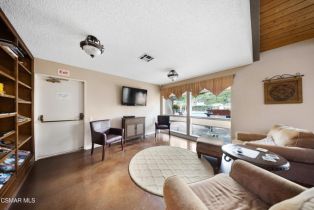 Condominium, 255 Sequoia ct, Thousand Oaks, CA 91360 - 42