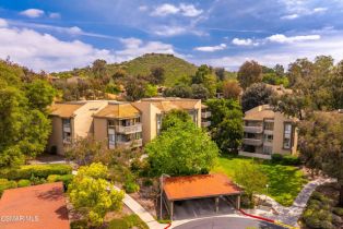 Condominium, 255 Sequoia ct, Thousand Oaks, CA 91360 - 60