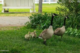 , 2239 Pinecrest rd, Agoura Hills, CA 91301 - 20