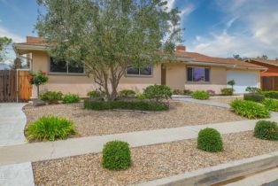 Single Family Residence, 539 Debbie st, Newbury Park, CA 91320 - 5