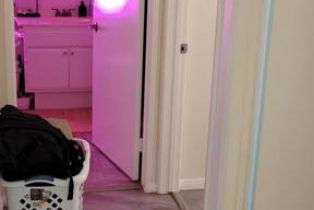 Condominium, 2713 Antonio dr, Camarillo, CA 93010 - 17