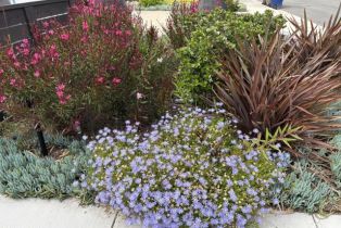 Single Family Residence, 3065 Bayshore ave, Ventura, CA 93001 - 34