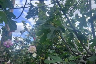 Single Family Residence, 2160 Abraham st, Simi Valley, CA 93065 - 15