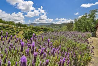 Single Family Residence, 3030 Triunfo Canyon rd, Agoura Hills, CA 91301 - 47