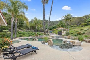 Single Family Residence, 790 Spring Canyon pl, Newbury Park, CA 91320 - 50