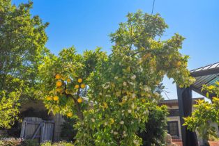 Single Family Residence, 1585 Loma dr, Ojai, CA 93023 - 37