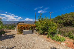 Single Family Residence, 1585 Loma dr, Ojai, CA 93023 - 38