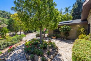 Single Family Residence, 1585 Loma dr, Ojai, CA 93023 - 44