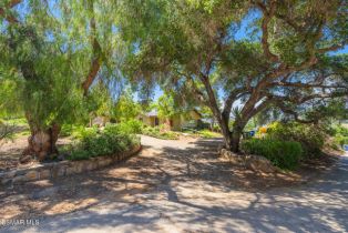 Single Family Residence, 1585 Loma dr, Ojai, CA 93023 - 47