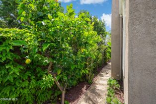 Single Family Residence, 4312 Manorview ct, Moorpark, CA 93021 - 60