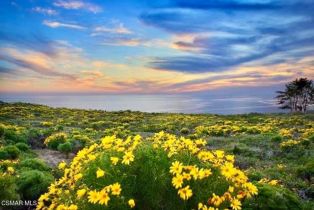 Single Family Residence, 6972 Grasswood ave, Malibu, CA 90265 - 10