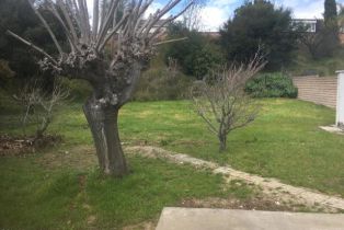 Single Family Residence, 187 Walter ave, Newbury Park, CA 91320 - 9