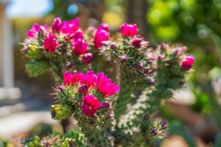 Single Family Residence, 6120 Zelzah ave, Encino, CA 91316 - 12