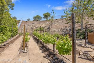 Single Family Residence, 5309 Via Rincon, Newbury Park, CA 91320 - 31