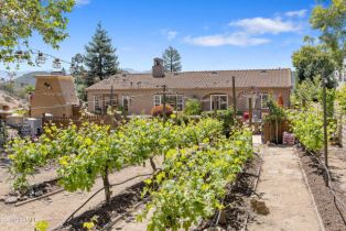 Single Family Residence, 5309 Via Rincon, Newbury Park, CA 91320 - 32