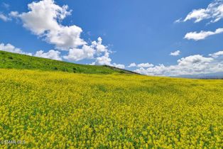 ,  Calle Hondanada, Thousand Oaks, CA 91360 - 19