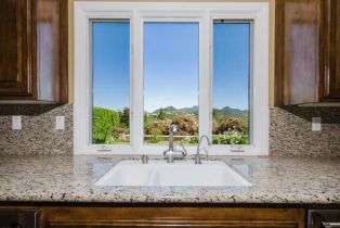 Single Family Residence, 1624 Bushgrove ct, Lake Sherwood, CA 91361 - 12