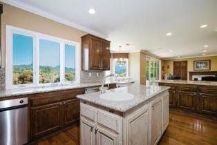 Single Family Residence, 1624 Bushgrove ct, Lake Sherwood, CA 91361 - 14