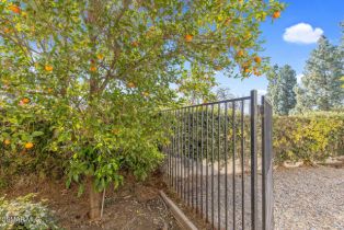 Single Family Residence, 3128 Casino dr, Thousand Oaks, CA 91362 - 26