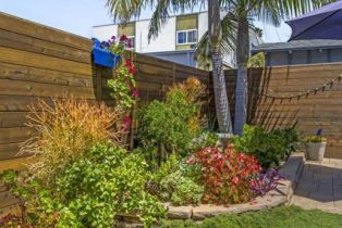 Single Family Residence, 37 Ann st, Ventura, CA 93001 - 41