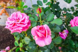 Single Family Residence, 3329 Manorgate pl, Simi Valley, CA 93065 - 4