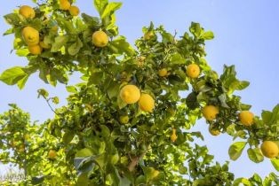 Single Family Residence, 11928 Bubbling Brook st, Moorpark, CA 93021 - 32