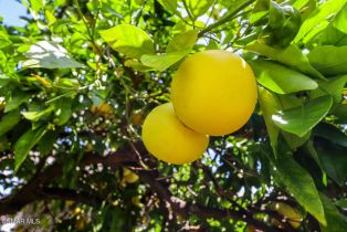 Single Family Residence, 2279 Connell ave, Simi Valley, CA 93063 - 39