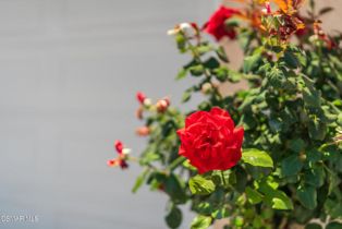 Condominium, 493 Shelburne ln, Simi Valley, CA 93065 - 4