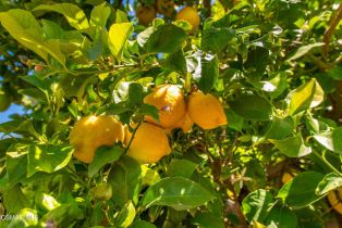 Single Family Residence, 1246 Lundy dr, Simi Valley, CA 93065 - 35