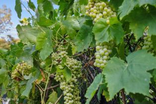 Single Family Residence, 1930 Seminole dr, Agoura Hills, CA 91301 - 32