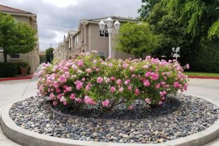 Townhouse, 5616 Etiwanda ave, Tarzana, CA 91356 - 22