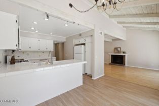 Condominium, 1540 Holly ct, Thousand Oaks, CA 91360 - 8